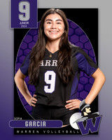 WHS_VAR_VB_IND1-9