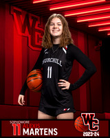 CHS_Var_Ind1-29