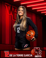 CHS_Var_Ind1-21