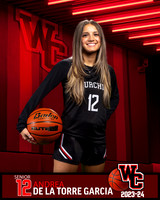 CHS_Var_Ind1-3