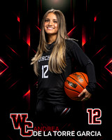 CHS_Var_Ind2-21