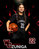CHS_Var_Ind2-6
