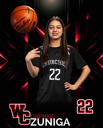 CHS_Var_Ind2-42