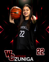 CHS_Var_Ind2-51
