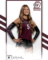 DHS_VAR_VB_IND2-20