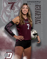 DHS_VAR_VB_IND1-37