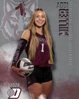 DHS_VAR_VB_IND1-31