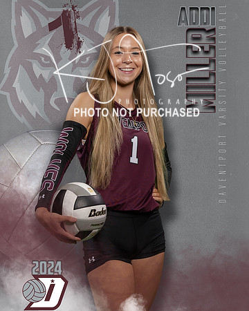 DHS_VAR_VB_IND1-31