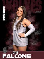 DHS_VB_Var_Ind1-6