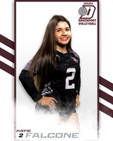 DHS_JV_VB_IND2-14