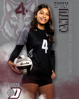 DHS_JV_VB_IND1-28