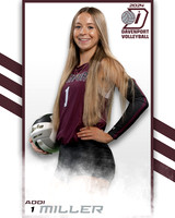 DHS_VAR_VB_IND2-46