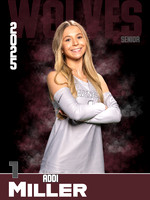 DHS_VB_Var_Ind1-16
