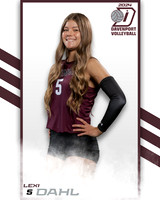 DHS_VAR_VB_IND2-5
