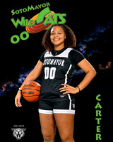 SMHS_Var_Ind1-33