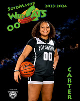 SMHS_Var_Ind1-23