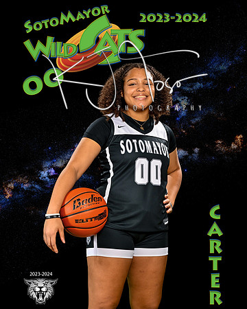 SMHS_Var_Ind1-23