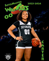 SMHS_Var_Ind1-13