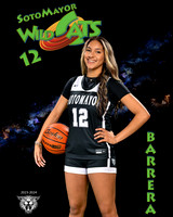 SMHS_Var_Ind1-38