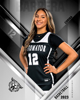 SMHS_Var_Ind2-06