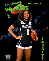 SMHS_Var_Ind1-14