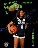 SMHS_Var_Ind1-24