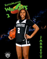 SMHS_Var_Ind1-34