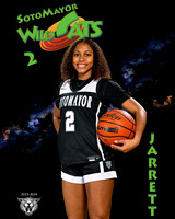 SMHS_Var_Ind1-44