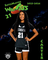 SMHS_Var_Ind1-1