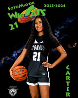 SMHS_Var_Ind1-7