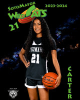 SMHS_Var_Ind1-9