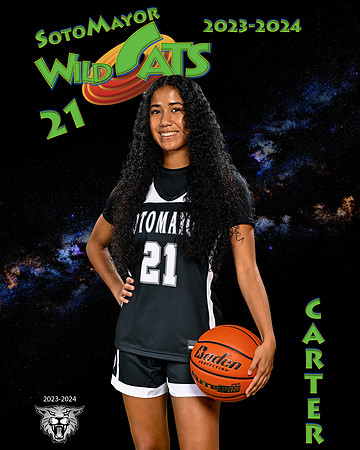 SMHS_Var_Ind1-9
