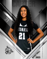 SMHS_Var_Ind2-1