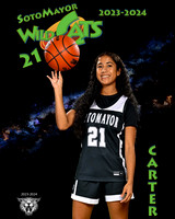 SMHS_Var_Ind1-11