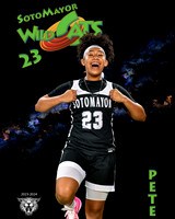 SMHS_Var_Ind1-60