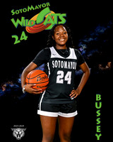 SMHS_Var_Ind1-31