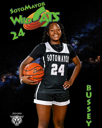 SMHS_Var_Ind1-31