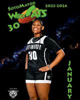 SMHS_Var_Ind1-10
