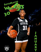 SMHS_Var_Ind1-32