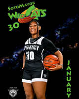 SMHS_Var_Ind1-52