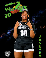 SMHS_Var_Ind1-62