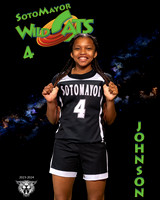 SMHS_Var_Ind1-56