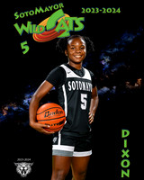 SMHS_Var_Ind1-27