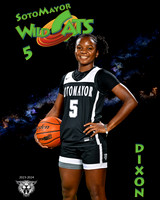 SMHS_Var_Ind1-37