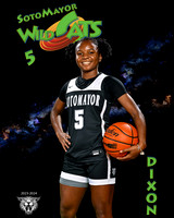 SMHS_Var_Ind1-47