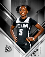 SMHS_Var_Ind2-05