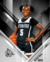 SMHS_Var_Ind2-37