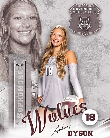 DHS_VB_Var_Ind2-30