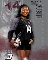 DHS_JV_VB_IND1-36