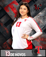 THS_JV_VB_IND2-11